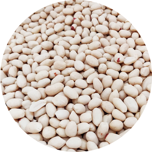 BLANCH PEANUT