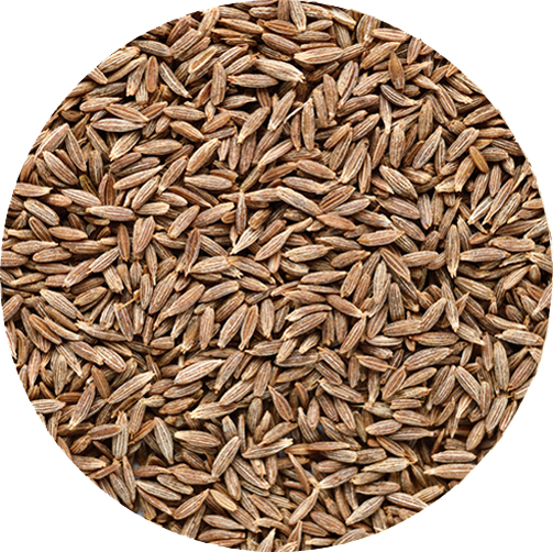 CUMIN SEEDS