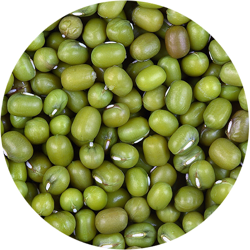 GREEN MUNG