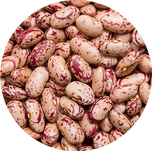 SPECKLED KIDNEY BEANS