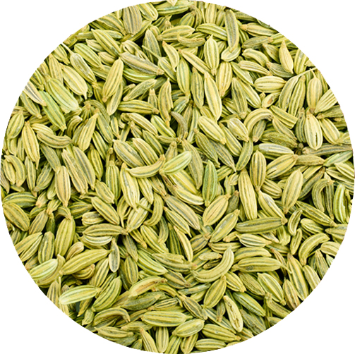 FENNEL SEEDS