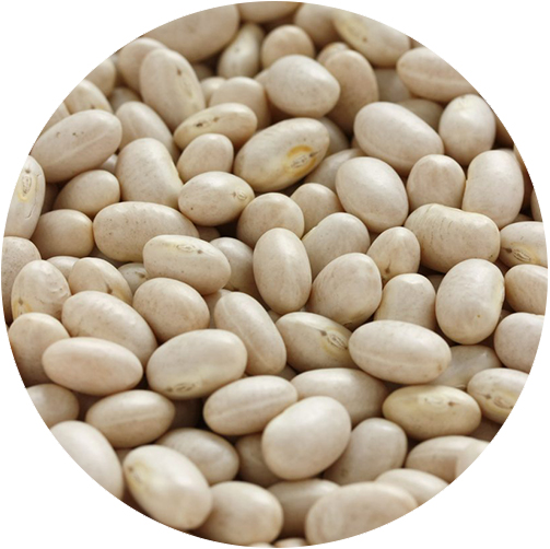 NAVY BEANS