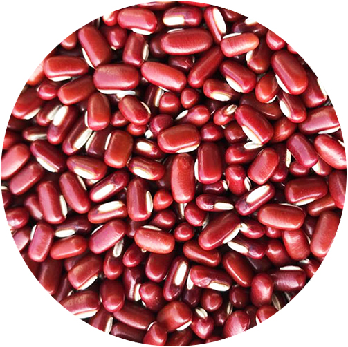 RED BAMBOO