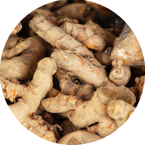 GINGER