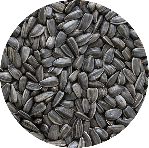 SUNFLOWER SEEDS