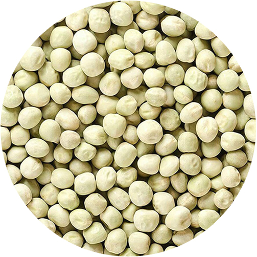GREEN PEAS