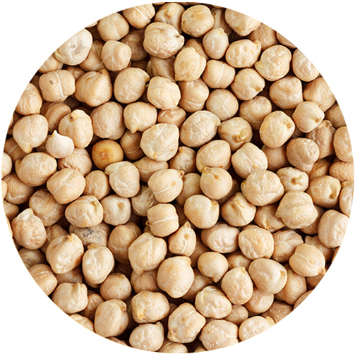 CHICKPEAS