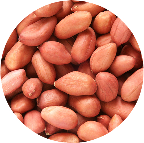 RAW PEANUT