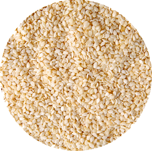 SESAME SEEDS
