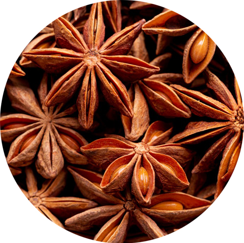 STAR ANISE